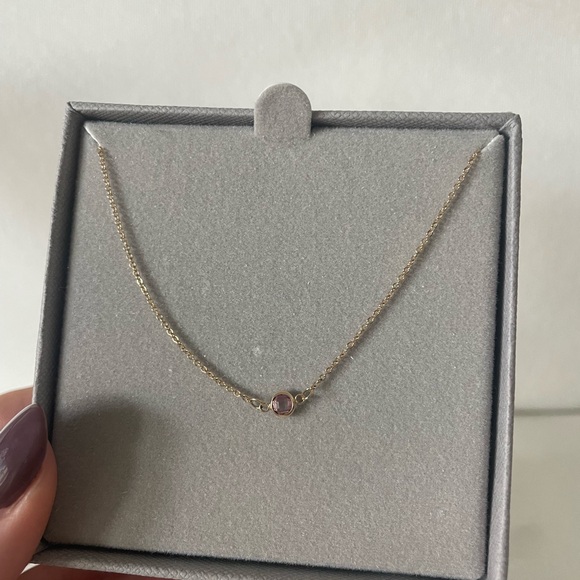 NEW HaverHill Petite 1 Birthstone Necklace in 14k Gold(Pink Sapphire October) - Picture 4 of 9